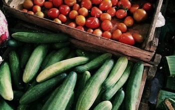 7 Tips for Shopping Your Local Farmers Market