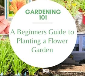 a beginners guide to planting a flower garden, Thinking of starting a flower garden This beginners guide will guide you through the entire process