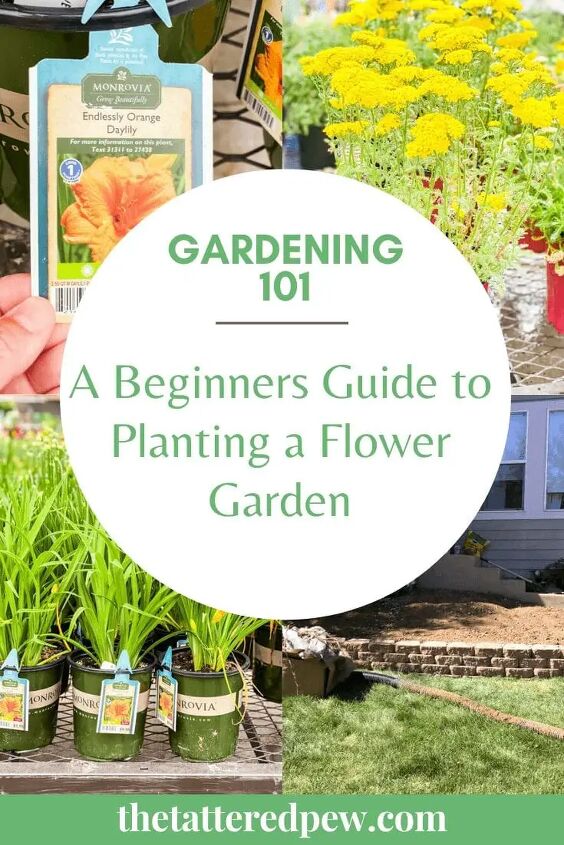 a beginners guide to planting a flower garden, Thinking of starting a flower garden This beginners guide will guide you through the entire process