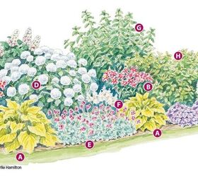 a beginners guide to planting a flower garden, Photo Credit gardengatemagazine com