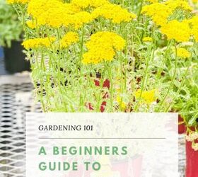 a beginners guide to planting a flower garden, Gardening 101 This will answer your beginner gardening questions a beginners guide to planting a flower garden