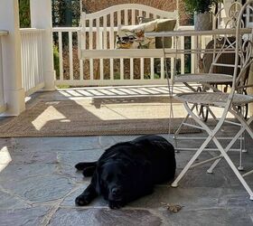 7 mistakes to avoid when designing a backyard living space, My black lab on the front porch of my 1850 farmhouse