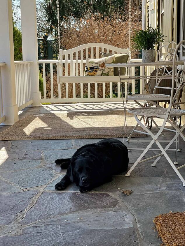 7 mistakes to avoid when designing a backyard living space, My black lab on the front porch of my 1850 farmhouse