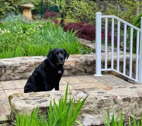 7 mistakes to avoid when designing a backyard living space, Bodie in the zen garden