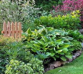 5 budget friendly ways to landscaping for curb appeal, happy gardening in the backyard garden