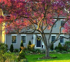 5 budget friendly ways to landscaping for curb appeal, Spring Garden Flowers