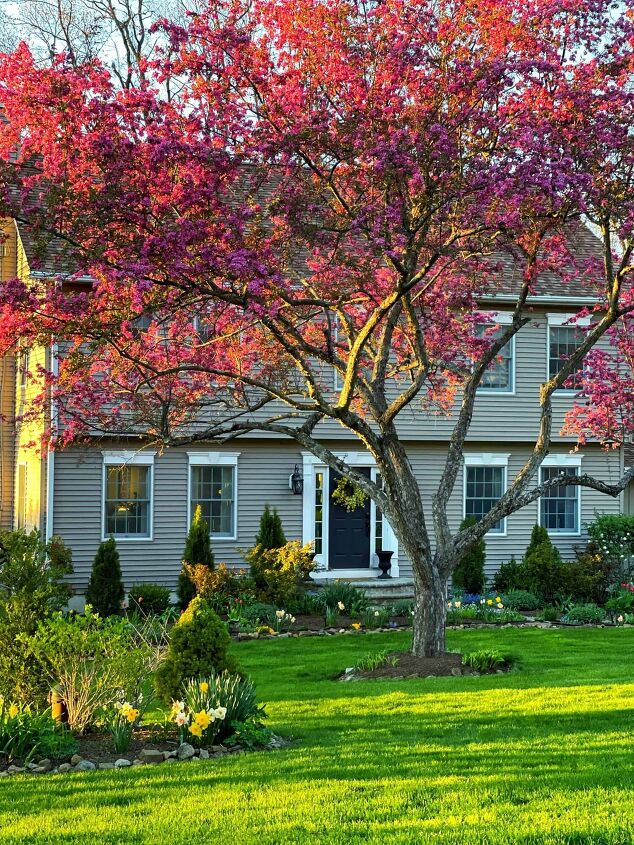 5 budget friendly ways to landscaping for curb appeal, Spring Garden Flowers