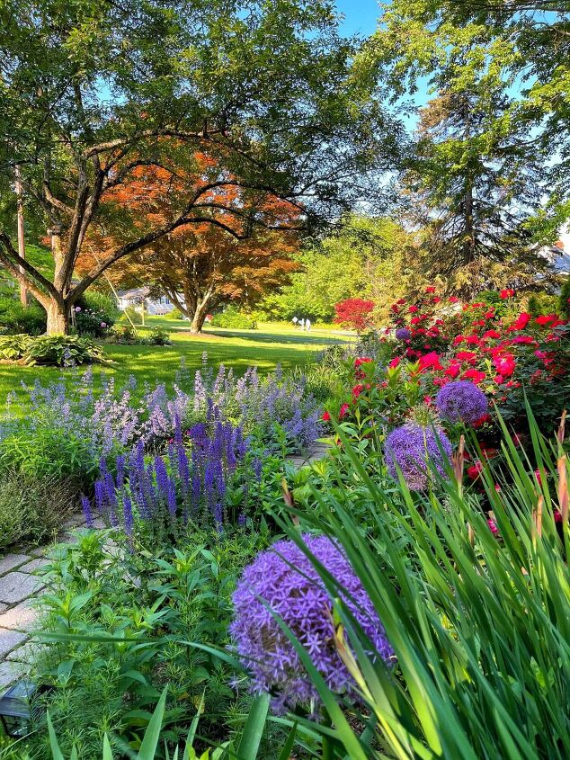 5 budget friendly ways to landscaping for curb appeal, The complete guide to roses care