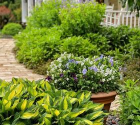 5 budget friendly ways to landscaping for curb appeal, front porch garden close up with hosta and container garden of pansies in resin pot