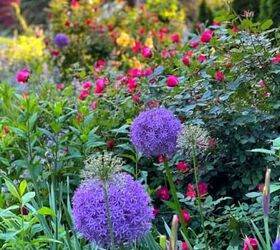 5 budget friendly ways to landscaping for curb appeal, How to Design an Everblooming Colorful Cottage Garden