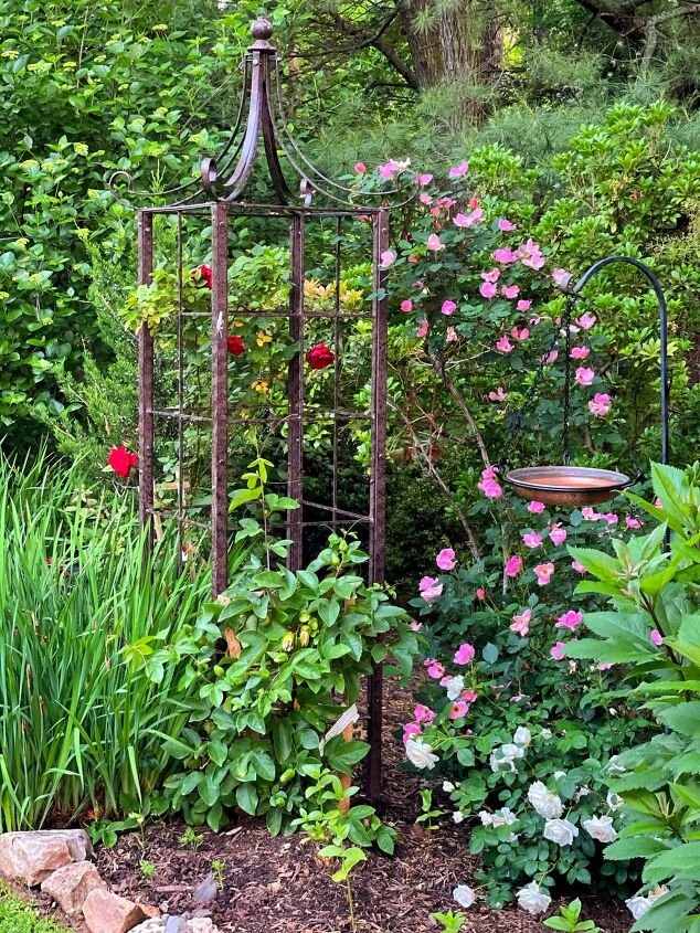 5 budget friendly ways to landscaping for curb appeal, The Complete Guide to Roses Care