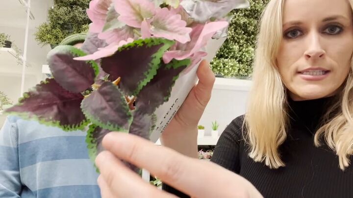 how to find the best looking fake plants at ikea, Natural looking fake plants