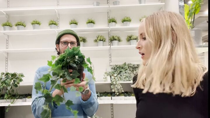 how to find the best looking fake plants at ikea, Matching plants to the environment