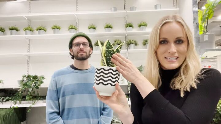 how to find the best looking fake plants at ikea, Fake snake plant at IKEA