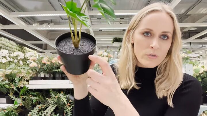 how to find the best looking fake plants at ikea, How to camouflage faux plants