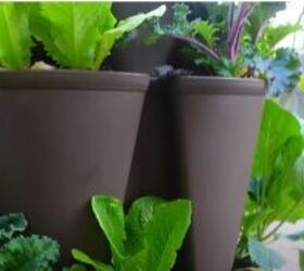 greenstalk planting guide how to grow food in a small space, Uncluttered space