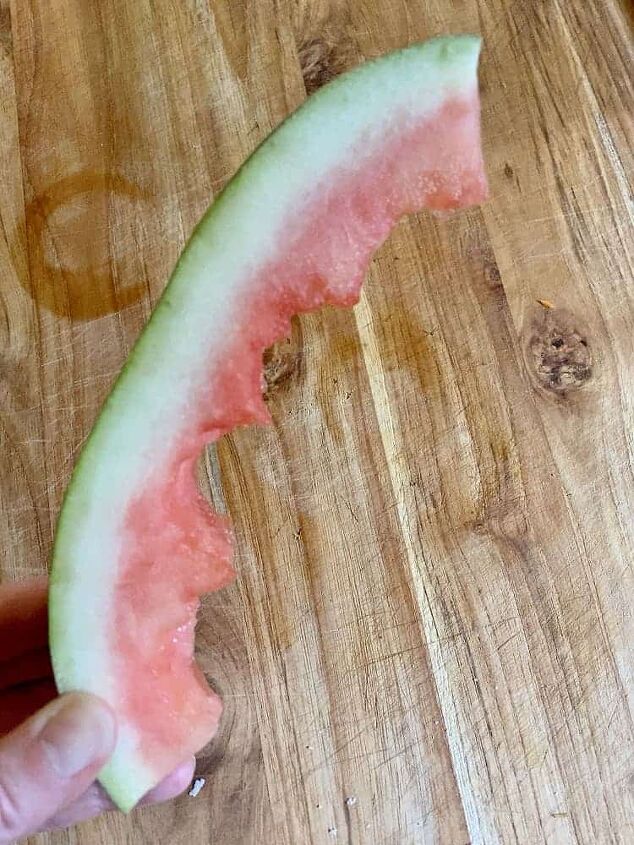 5 easy things to do with food scraps, watermelon rind to indicate food waste at home