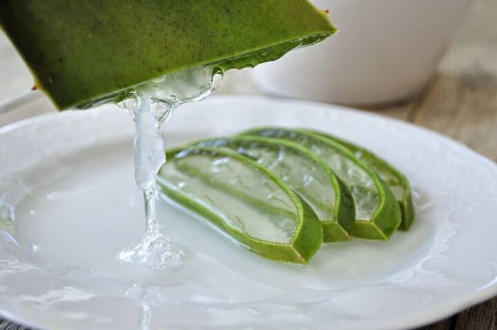 home remedies for chapped hands, pressing the juice from an aloe vera stalk
