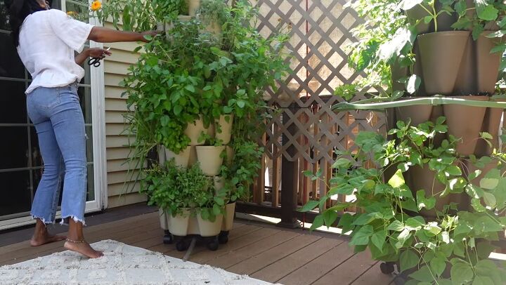 which herbs fruits veggies can i grow in my balcony garden, GreenStalk vertical planter