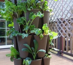 which herbs fruits veggies can i grow in my balcony garden, Balcony garden