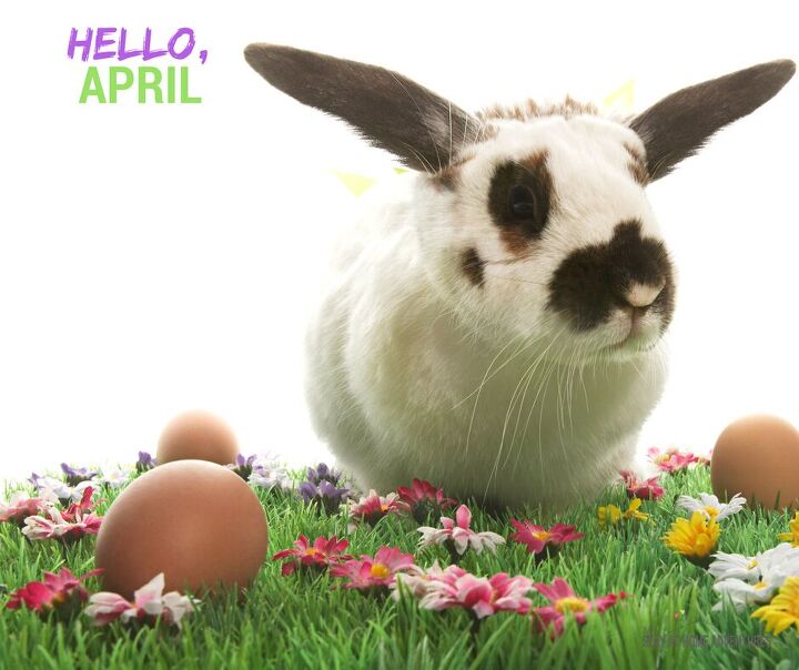 Spring April May 30 Tips To Save Big These Spring Months (A March, April, & May Guide ...