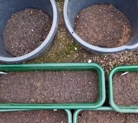 how to grow your own food prepping in february march, How to grow your own food