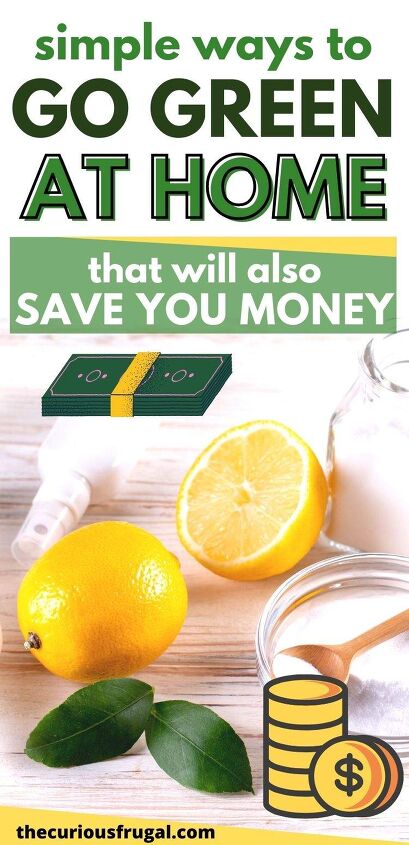 10 Simple Ways to Go Green at Home (That Will Also Save You Money ...