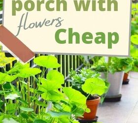 frugal ways to decorate your yard with potted plants, fill porch with flowers cheap