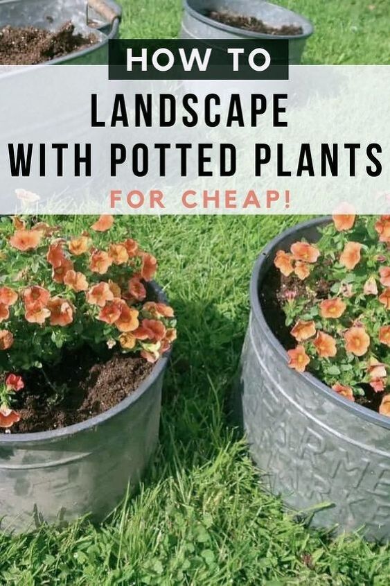 frugal ways to decorate your yard with potted plants, Frugal Ways to Decorate Your Yard with Potted Plants