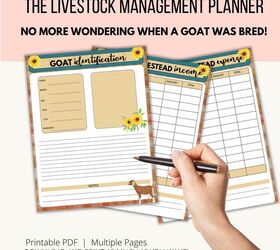 how to start homesteading on a budget, Get this amazing planner today