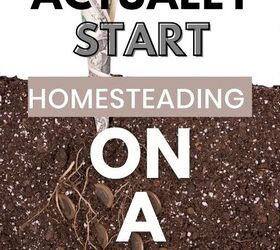 how to start homesteading on a budget, How to Start Homesteading on a Budget