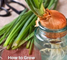 5 old fashioned ways to preserve food