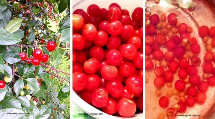 15 kitchen hacks that make life easier, Cherry Pics