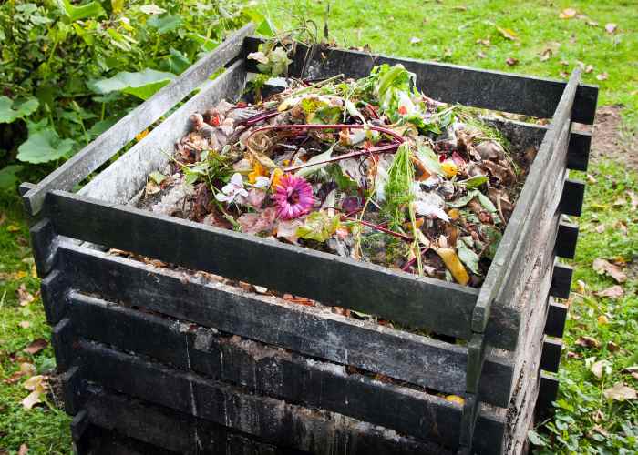 backyard composting for beginners