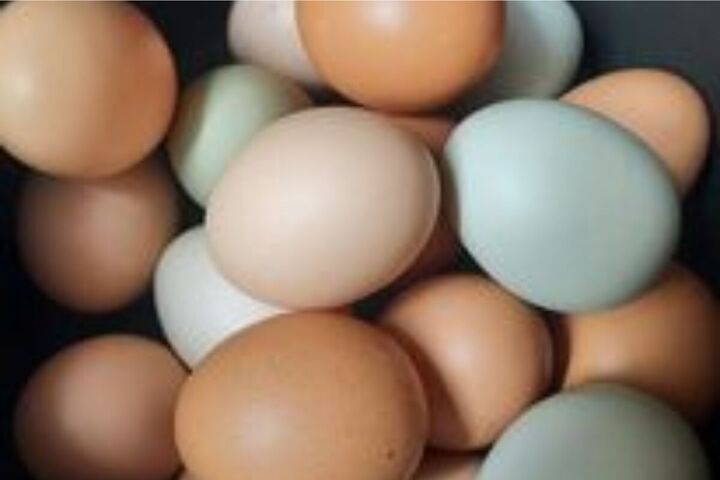 from farm to table how to preserve eggs and be more self sufficient, Homestead eggs