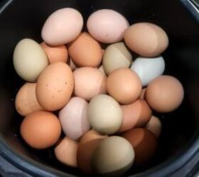 from farm to table how to preserve eggs and be more self sufficient, Eggs in a pot