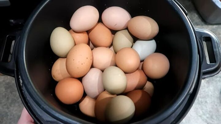 from farm to table how to preserve eggs and be more self sufficient, Eggs in a pot
