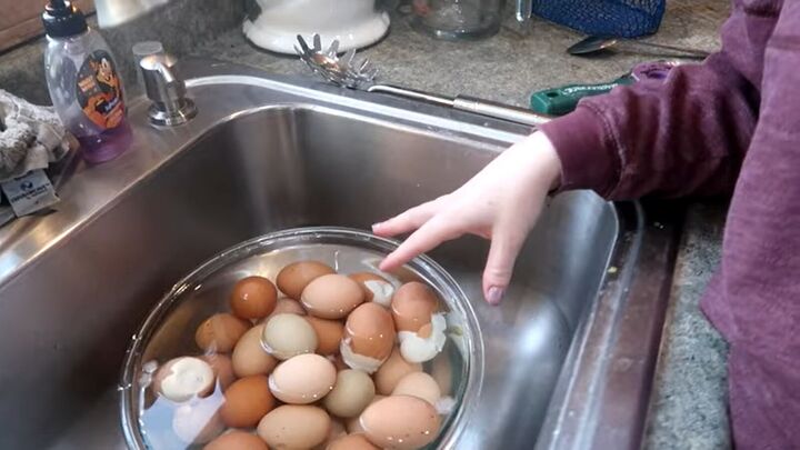 from farm to table how to preserve eggs and be more self sufficient, Hard boiled eggs sitting in a bowl of ice water