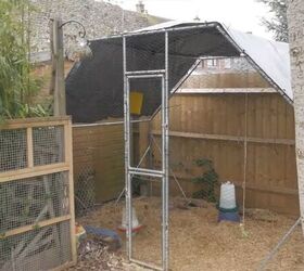 can you save money on eggs by raising backyard hens, Chicken coop and run