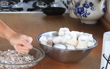 4 Valuable Uses for Eggshells You May Not Know