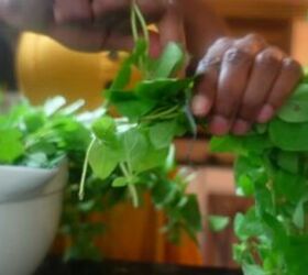 how to start a homestead without land 5 things you can do, Growing herbs at home