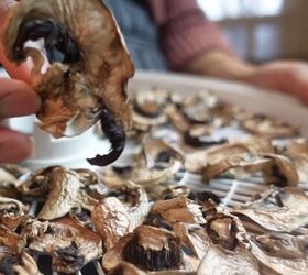 the 10 best dehydrated foods to make at home plus 4 of the worst, Dehydrated mushrooms