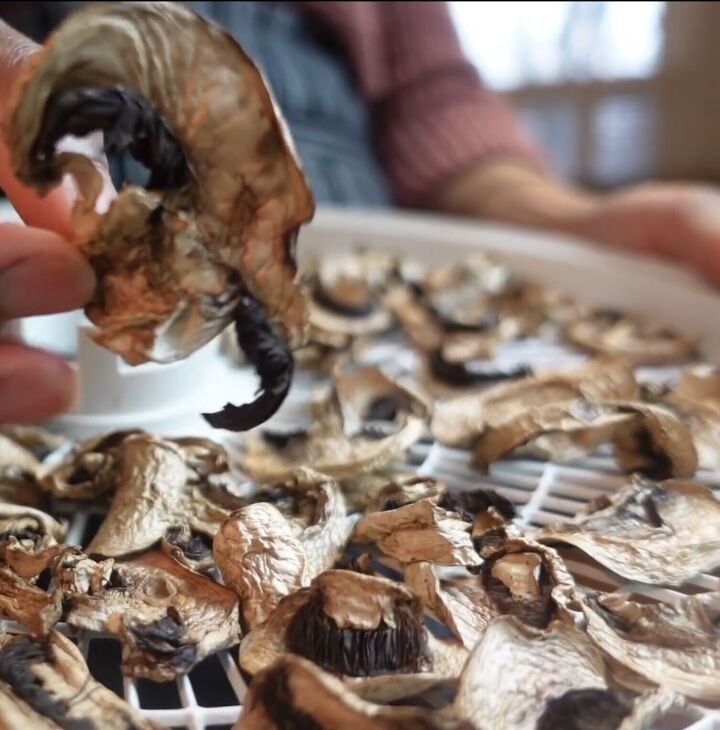 the 10 best dehydrated foods to make at home plus 4 of the worst, Dehydrated mushrooms