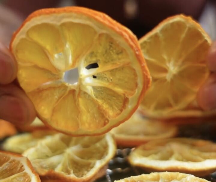 the 10 best dehydrated foods to make at home plus 4 of the worst, Dehydrated lemon and orange slices
