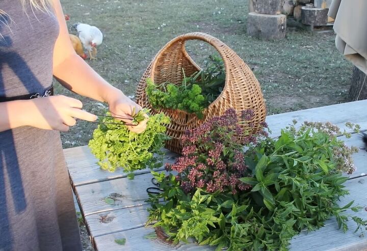 how to dry herbs naturally at home without electricity, Making bunches of herbs