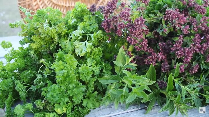 how to dry herbs naturally at home without electricity, Bunches of fresh herbs