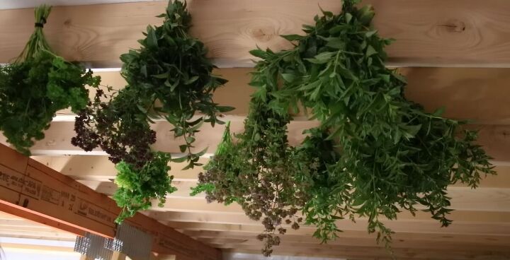 how to dry herbs naturally at home without electricity, How to dry herbs without electricity