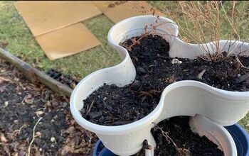 How to Grow Food With Dollar Tree Gardening Tools & Supplies