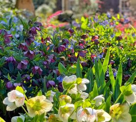 39 money-saving tips for the garden