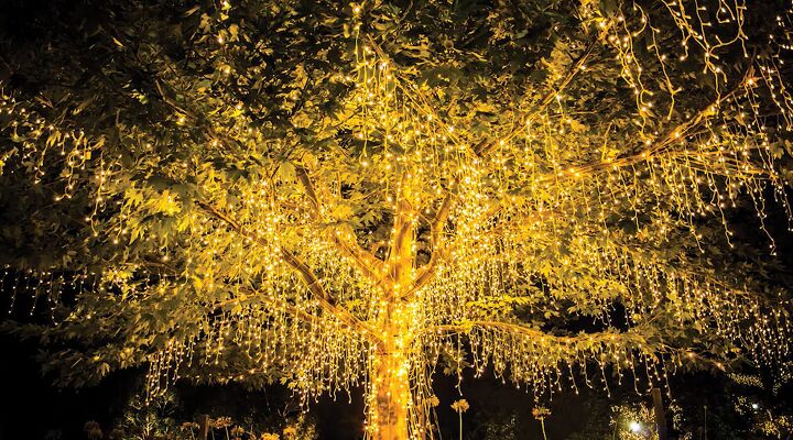 7 easy patio ideas on a budget you can try this summer, String lights cascading from branches